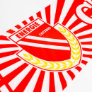 Poly-Schal "Energie Cottbus - Strahlen"