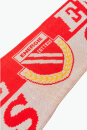 Schal "Energie Cottbus"