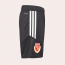 adidas Trainingsshorts 26/27