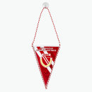 Miniwimpel "Fussballclub"